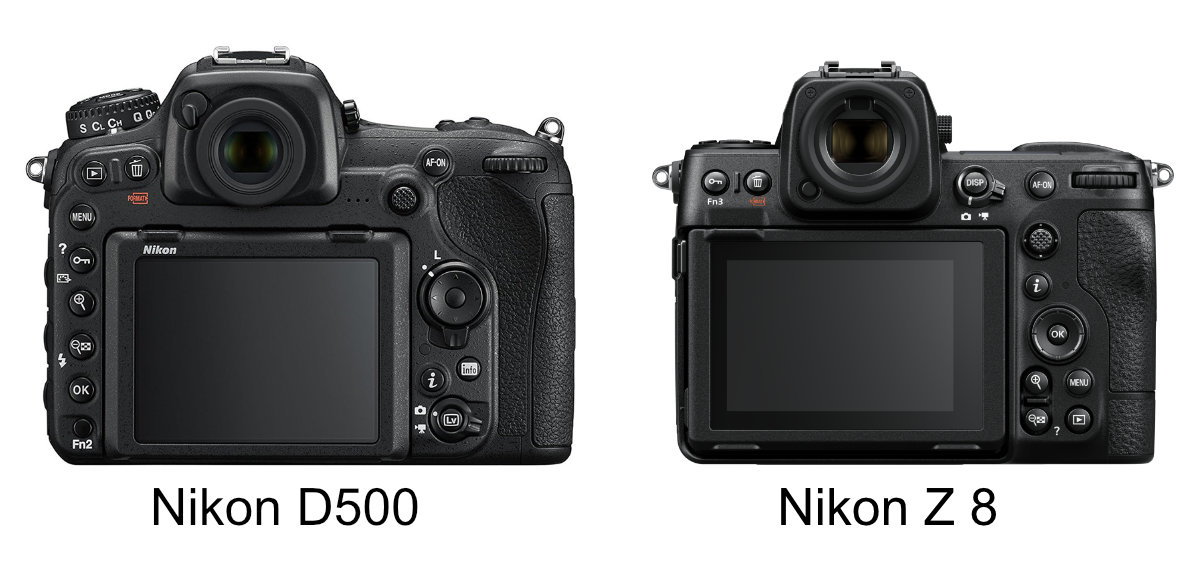 Nikon Z8 e Nikon D500